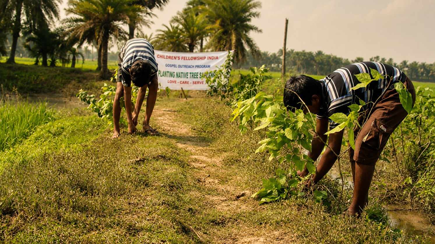 tree planting