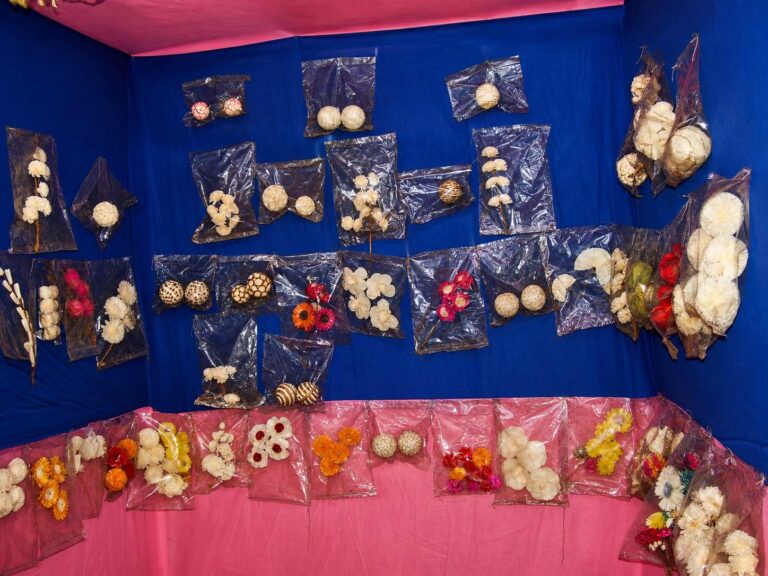 plistic flower making by New Life Fellowship Society's education and community development programs in West Bengal, India.
