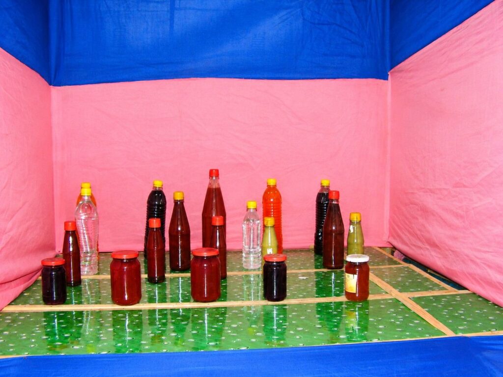 Women's Jam and Jelly-Making Training Programme 2025